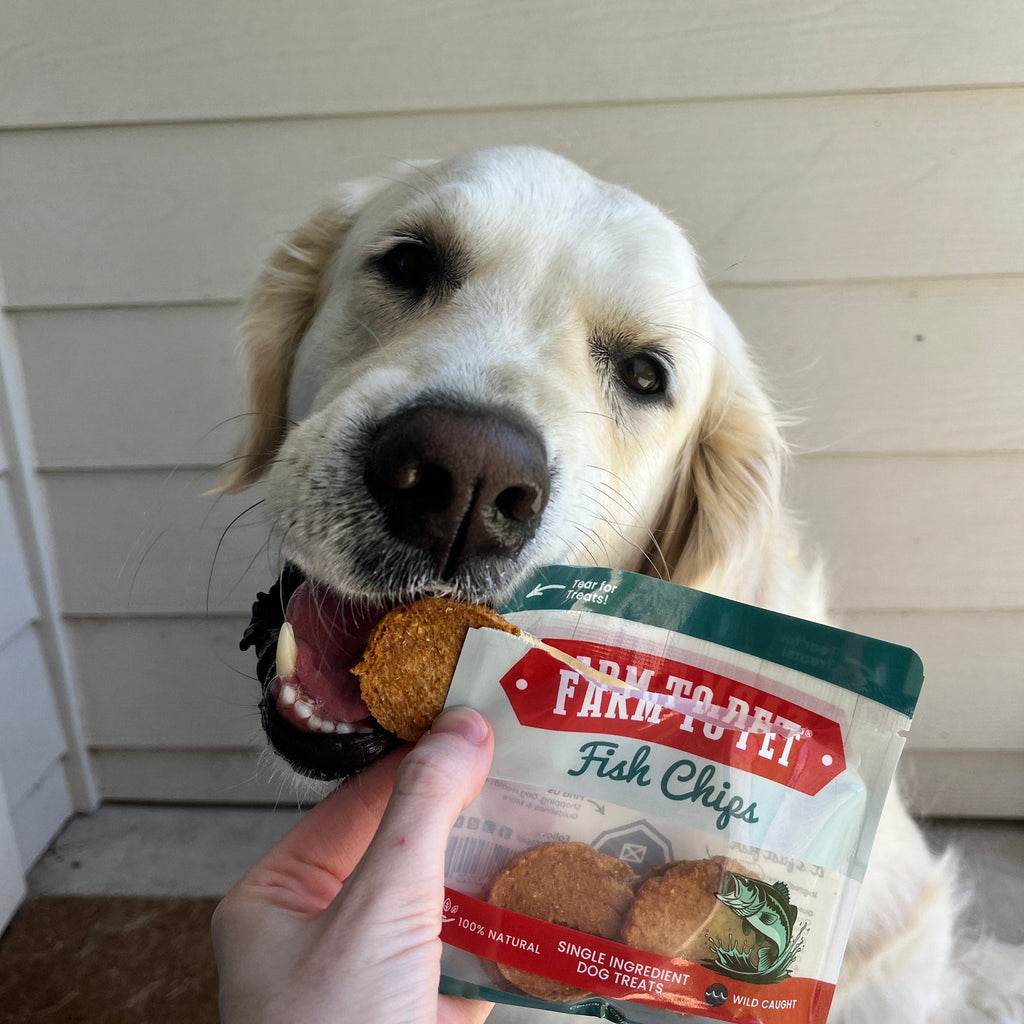 Dog treat sampler bag with fish chips, held by a golden retriever.