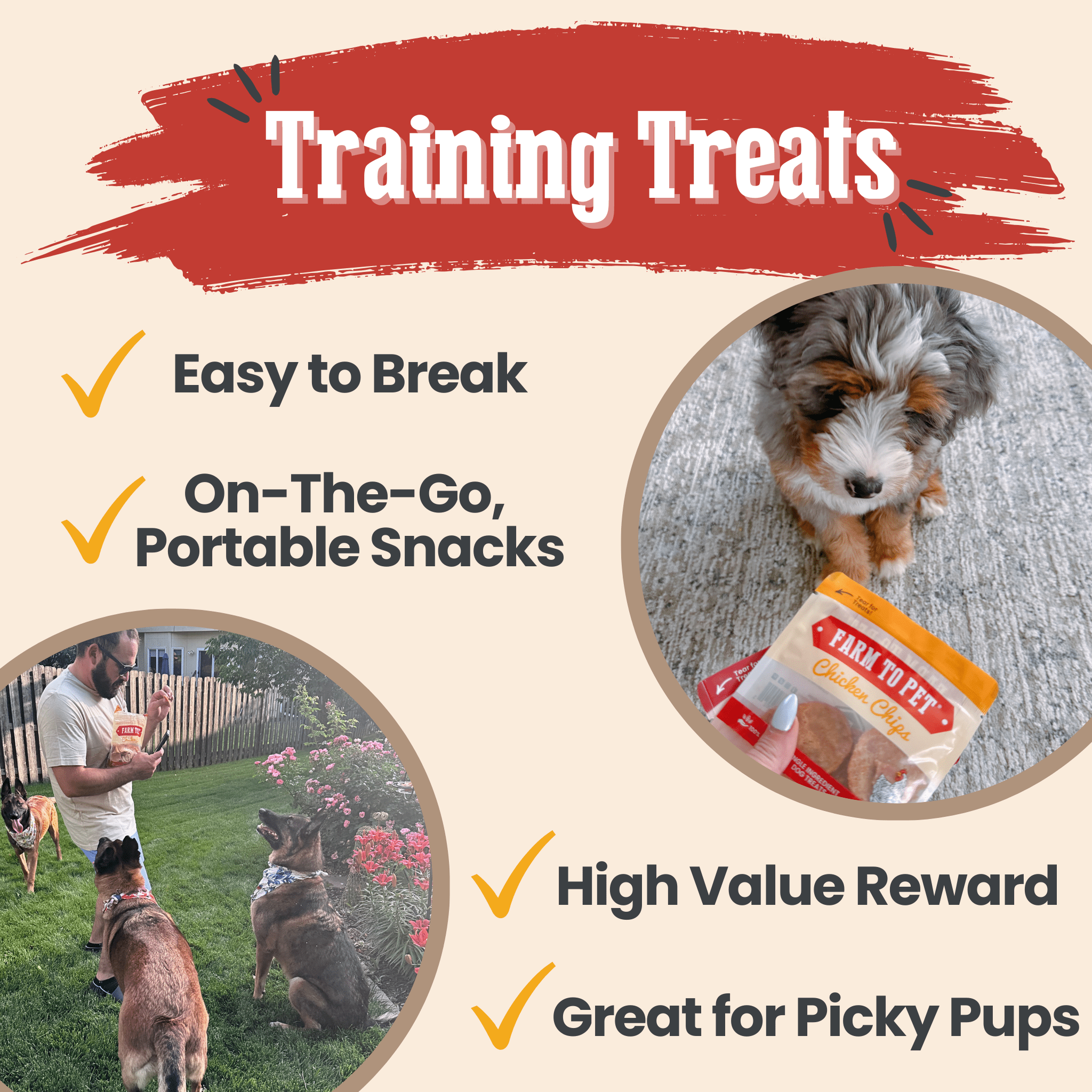 Training treats sampler pouch held near a small dog on a couch.