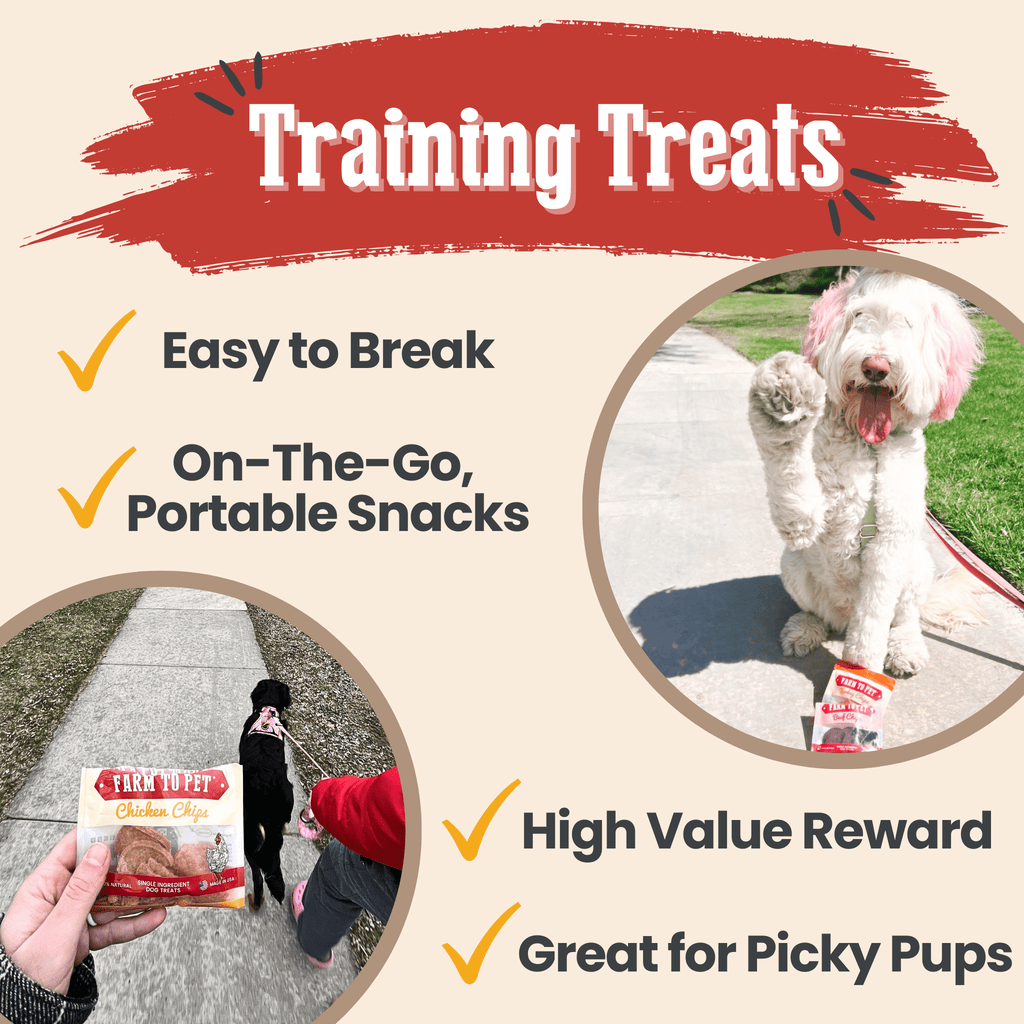 Dog treat sampler bags featured with on-the-go chip pack images and a dog outdoors.