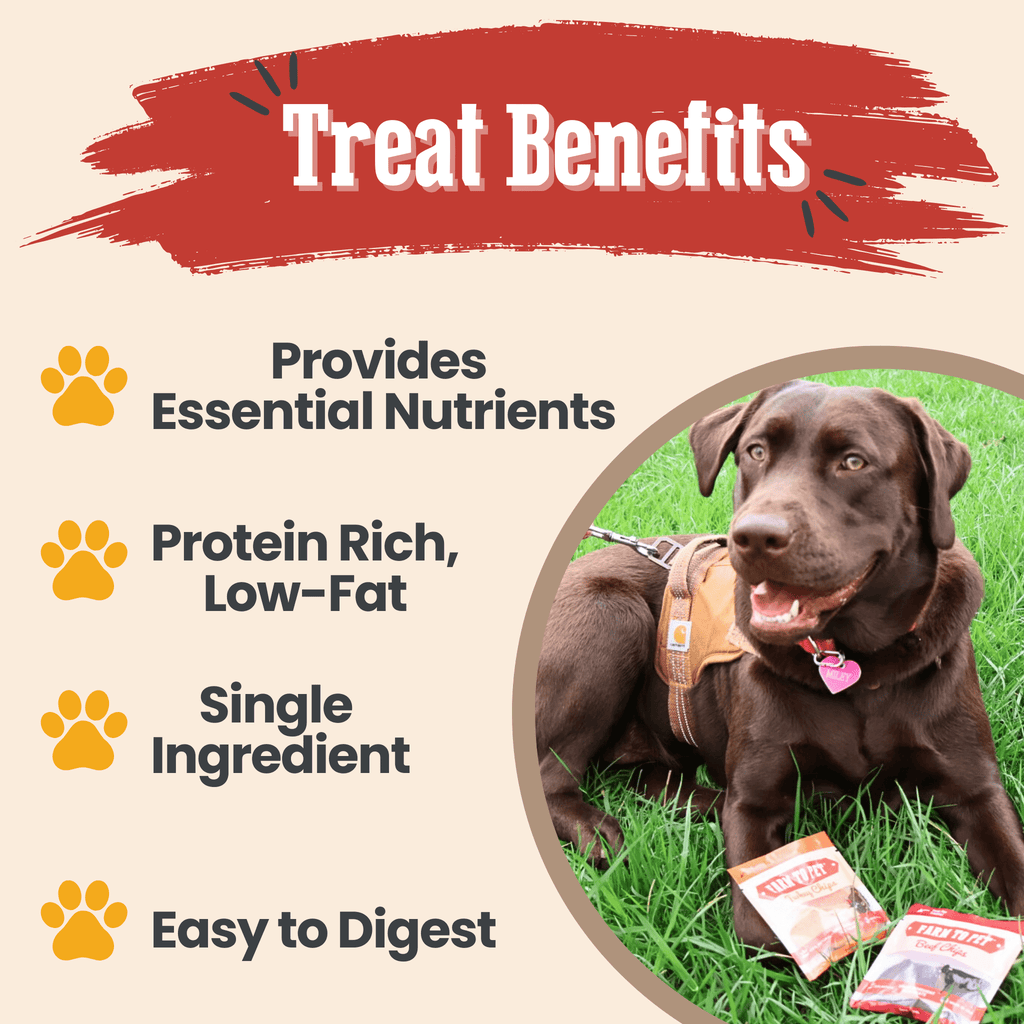Dog treat sampler with chip bags shown alongside a chocolate lab on grass.
