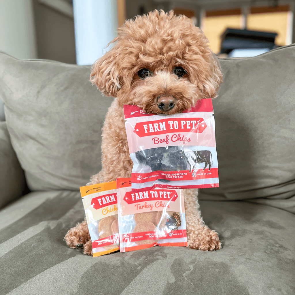 Dog treat sampler with a poodle holding a beef chips bag and two other chip bags.
