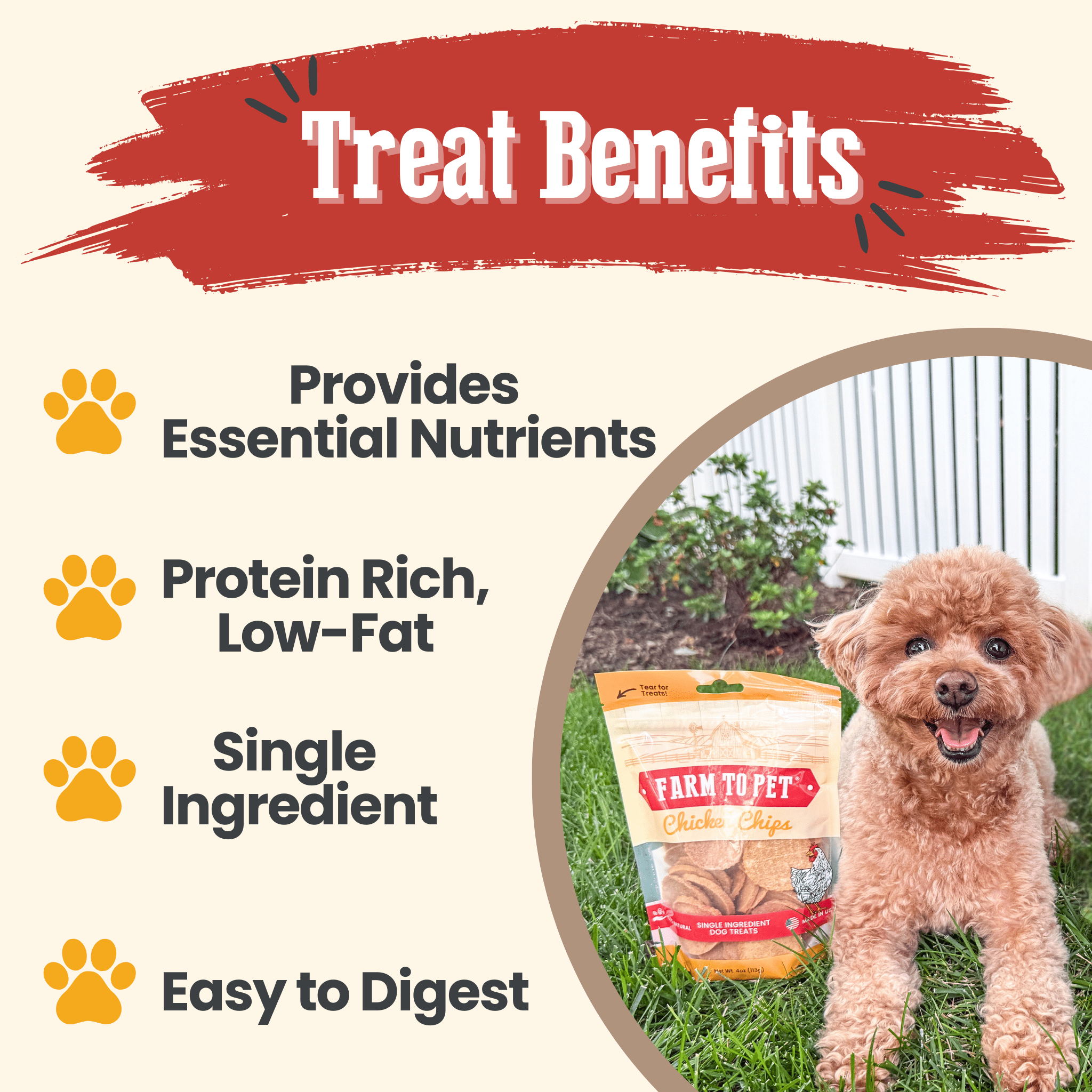 Promotional graphic listing chicken chip dog treat benefits with a dog and bag