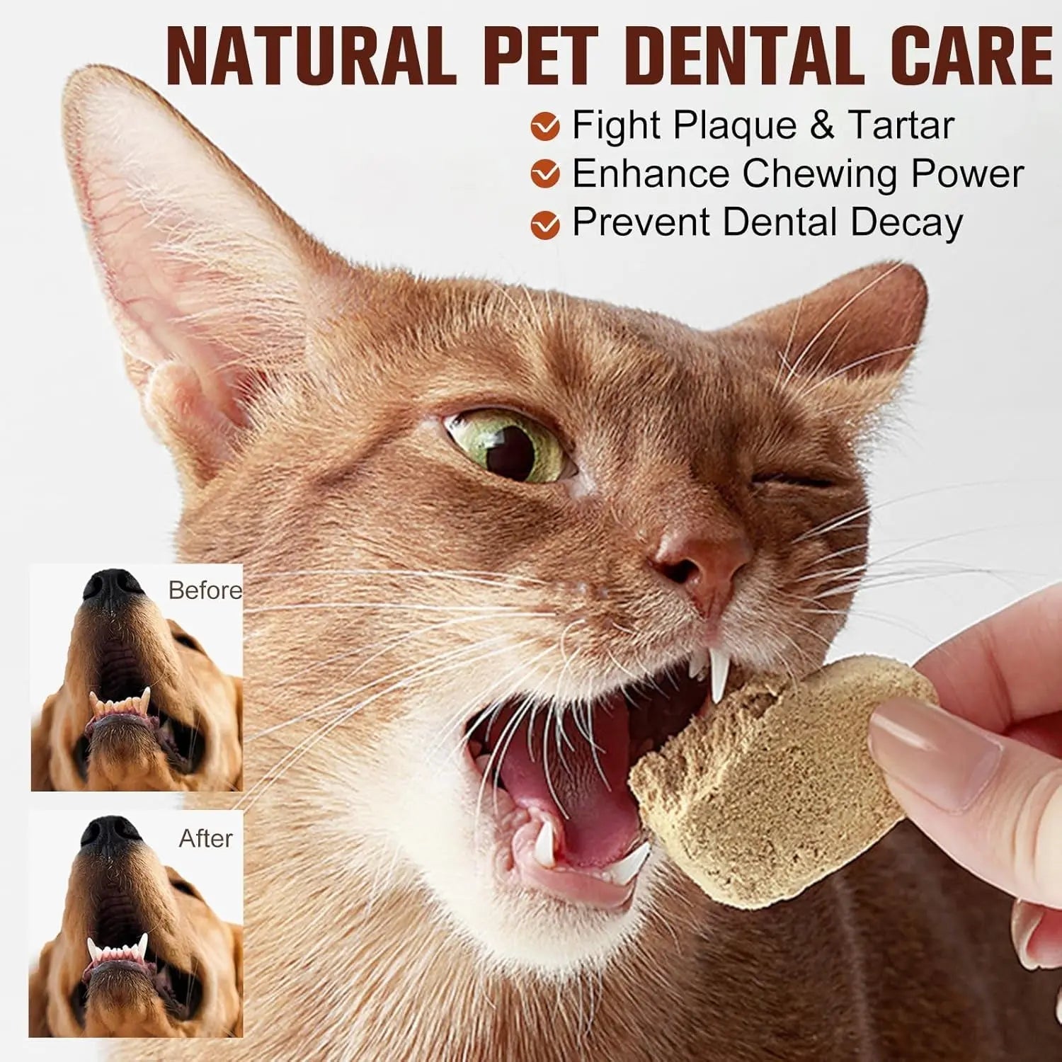 Freeze-dried heart-shaped pet dental chew; cat chewing and tooth before/after