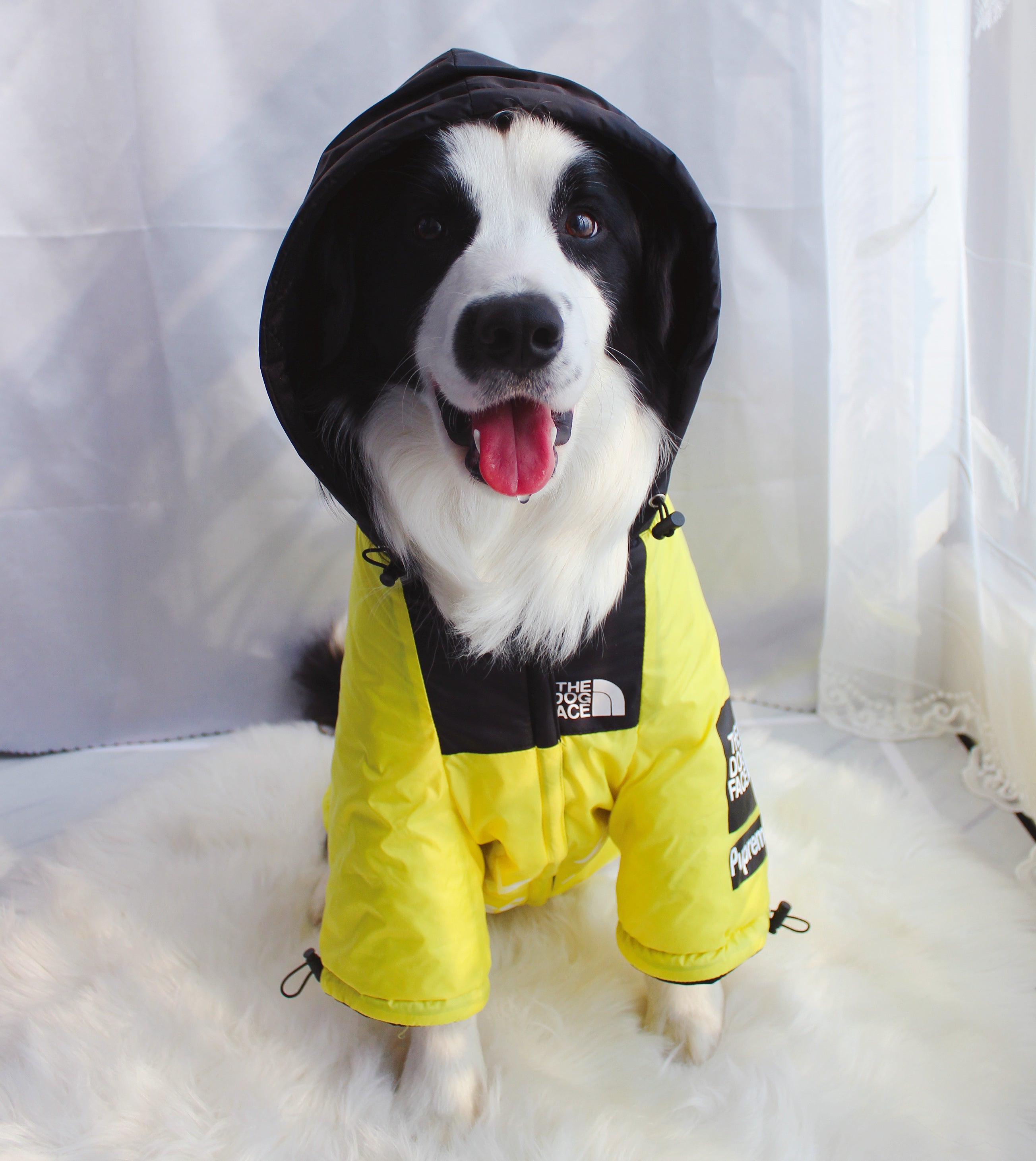 Windproof Waterproof Reflective Dog Rain Jacket — Hooded, Lightweight, Sizes S–5XL