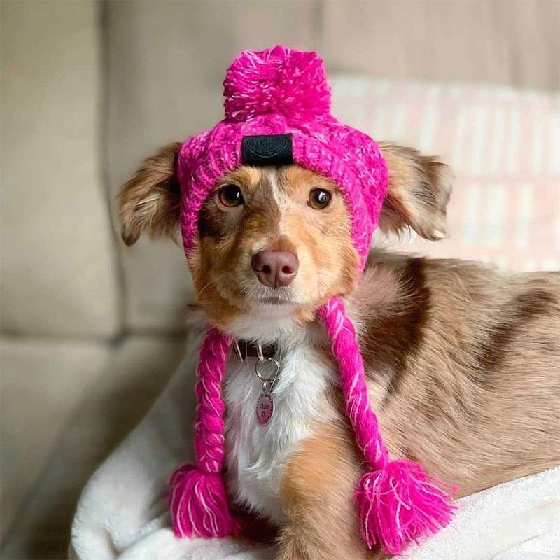 Cozy Knitted Pet Hat with Fluffy Pom-Pom — Winter Warm Beanie for Dogs & Cats