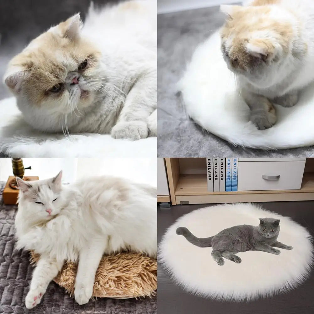 White and light-gray heated pet pads with cats resting