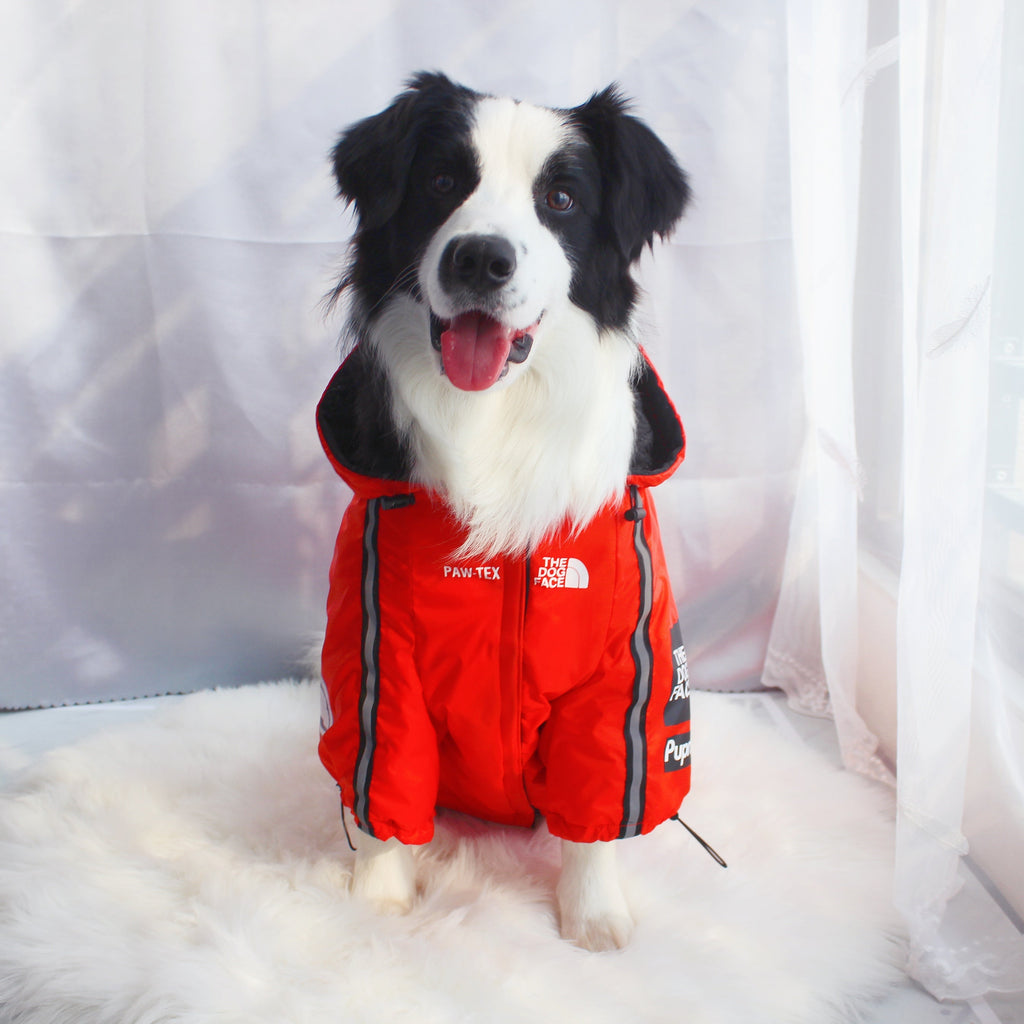 Windproof Waterproof Reflective Dog Rain Jacket — Hooded, Lightweight, Sizes S–5XL