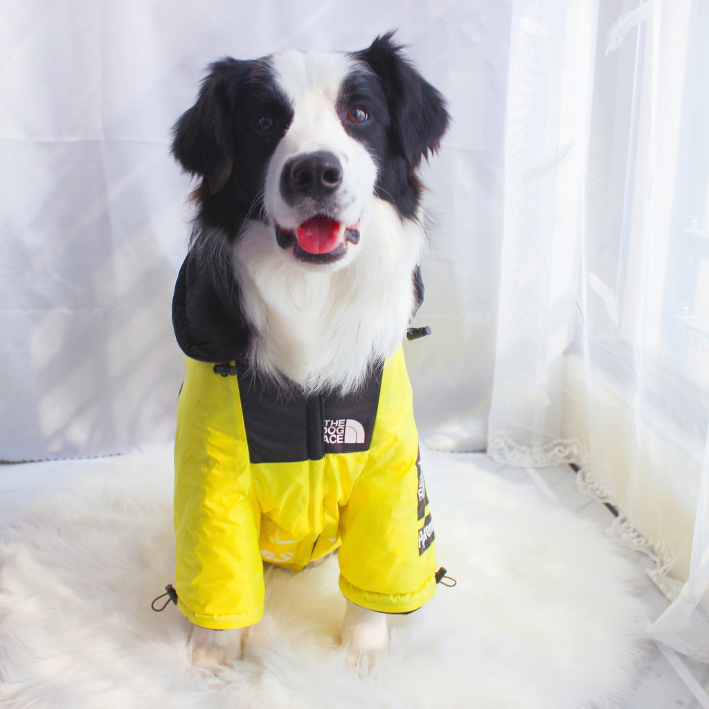 Windproof Waterproof Reflective Dog Rain Jacket — Hooded, Lightweight, Sizes S–5XL