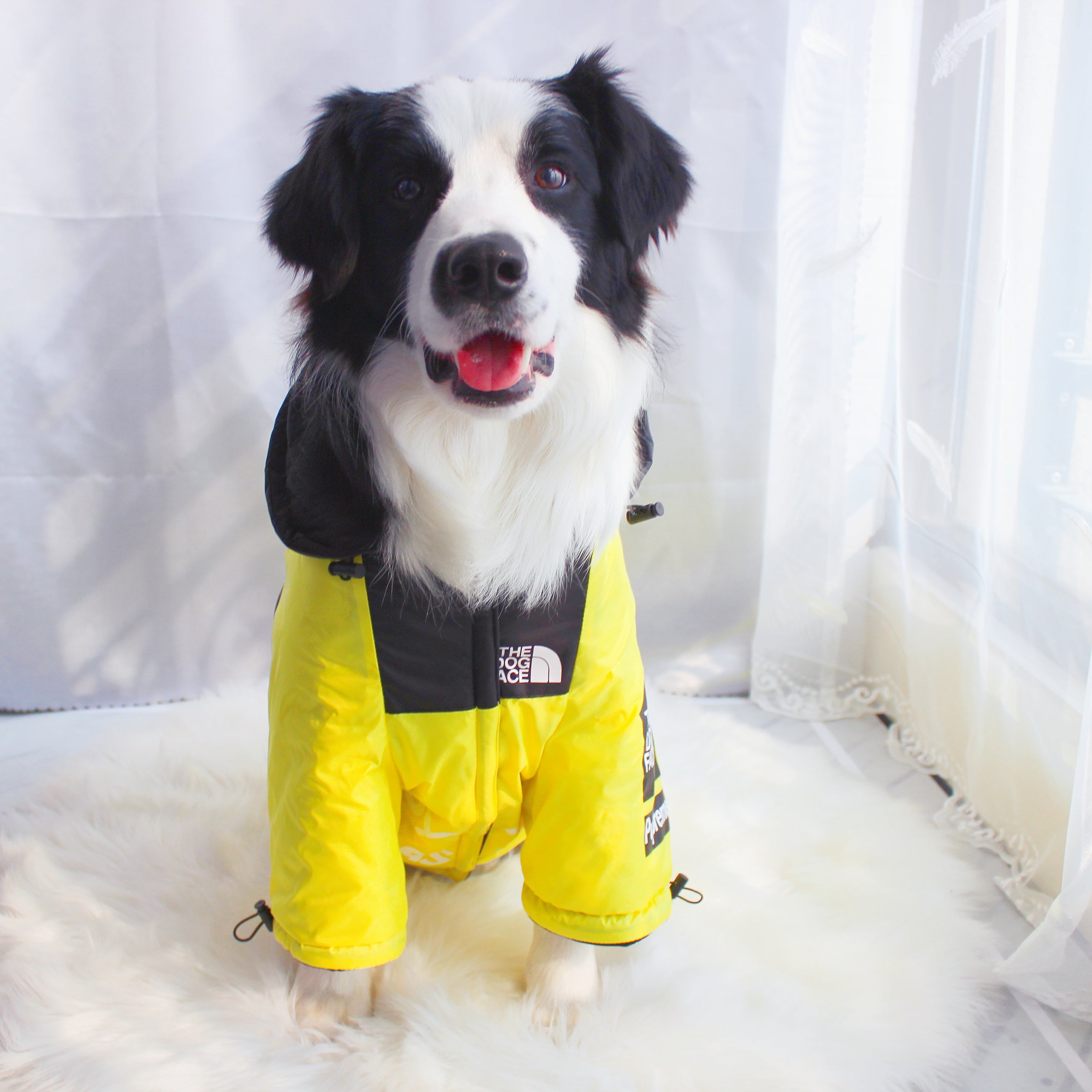Windproof Waterproof Reflective Dog Rain Jacket — Hooded, Lightweight, Sizes S–5XL