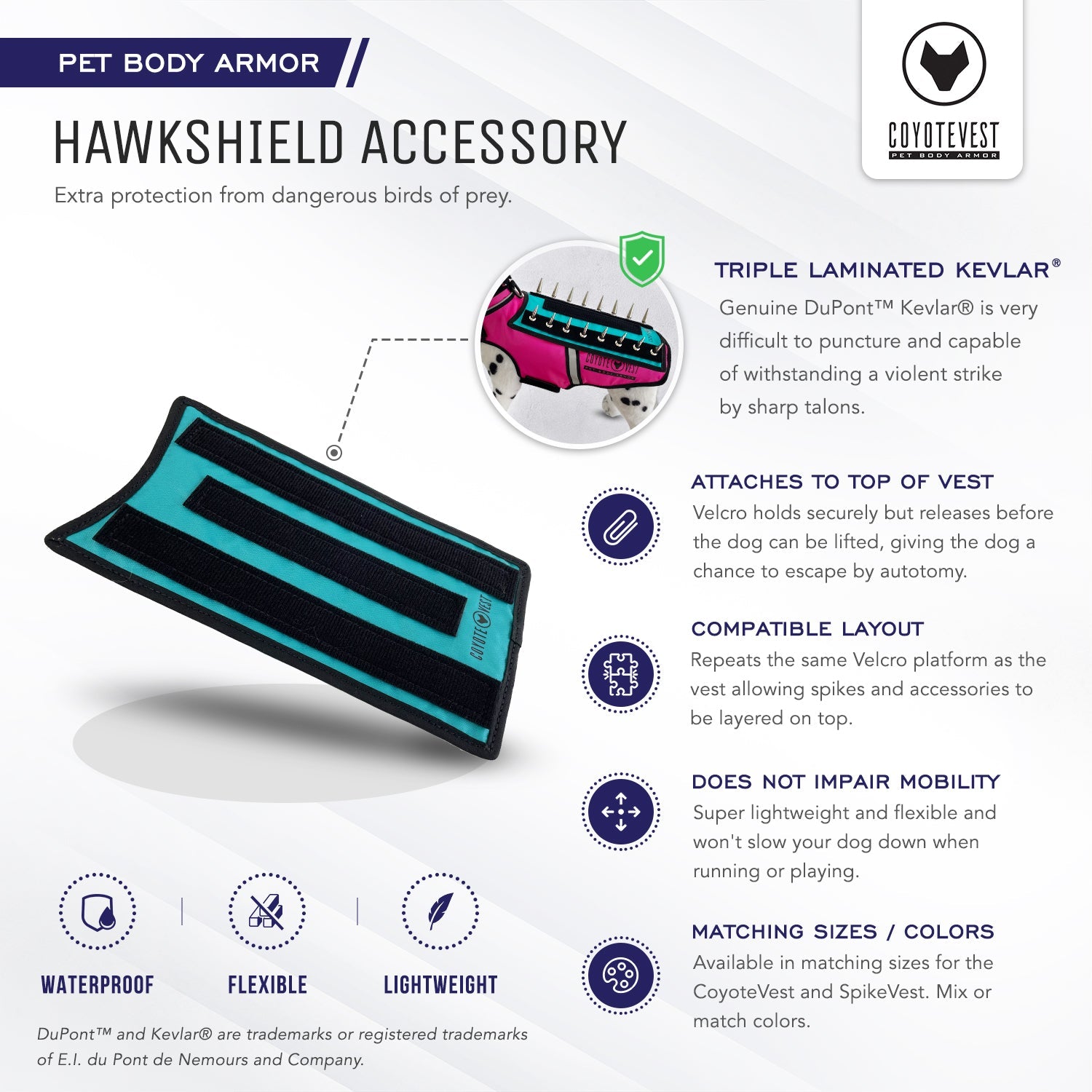 Turquoise hawkshield accessory with black spikes and black velcro strap
