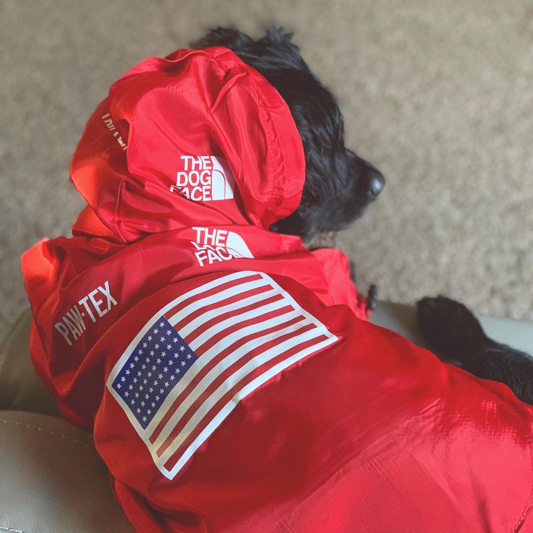Windproof Waterproof Reflective Dog Rain Jacket — Hooded, Lightweight, Sizes S–5XL