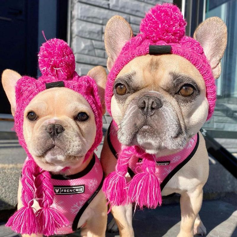 Cozy Knitted Pet Hat with Fluffy Pom-Pom — Winter Warm Beanie for Dogs & Cats