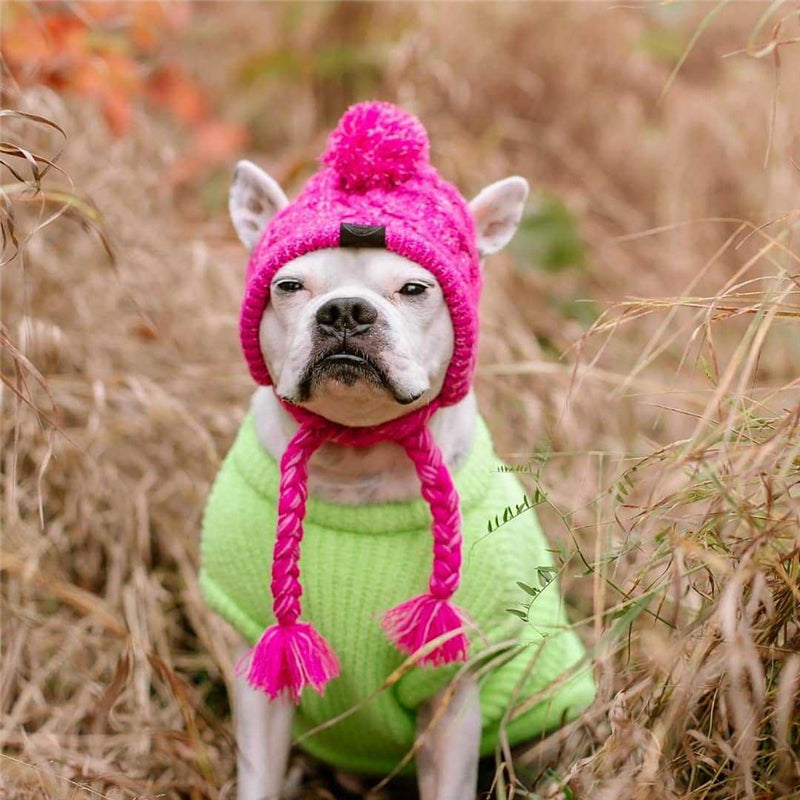 Cozy Knitted Pet Hat with Fluffy Pom-Pom — Winter Warm Beanie for Dogs & Cats