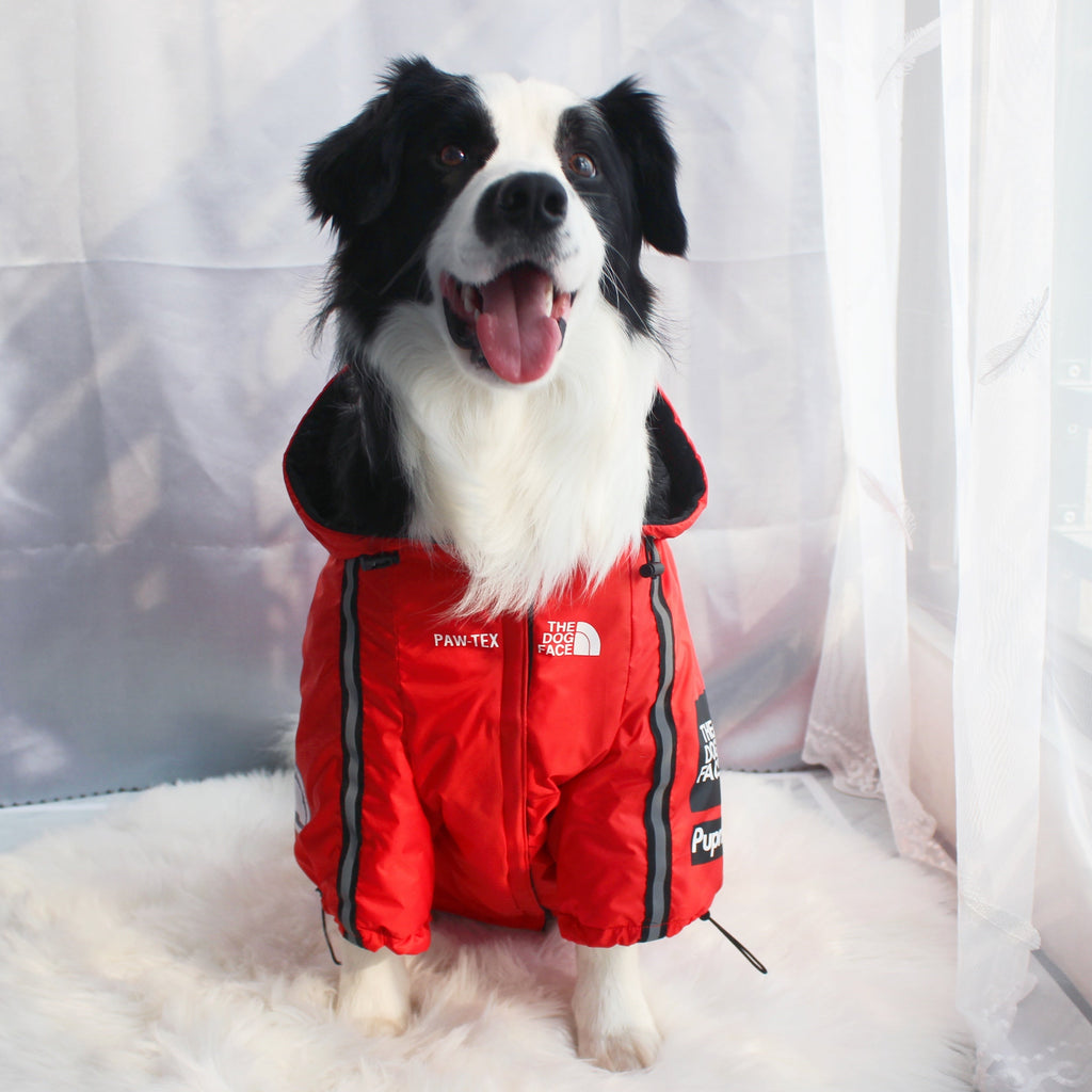 Windproof Waterproof Reflective Dog Rain Jacket — Hooded, Lightweight, Sizes S–5XL