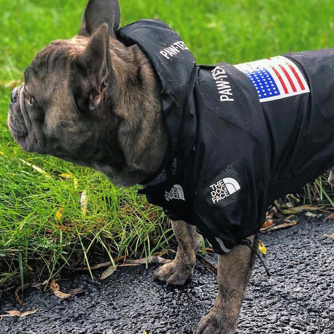 Windproof Waterproof Reflective Dog Rain Jacket — Hooded, Lightweight, Sizes S–5XL