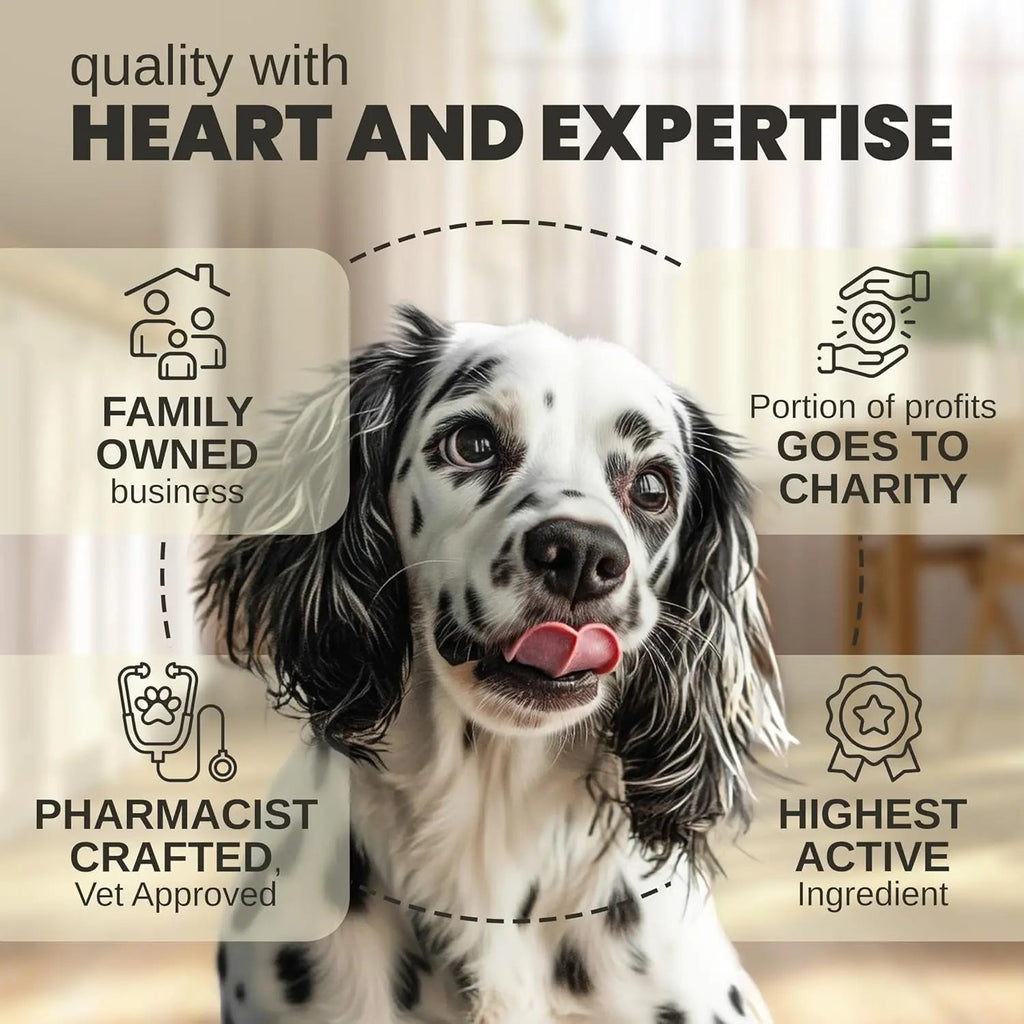 Pet hemp oil drops quality infographic with dog portrait and badge icons