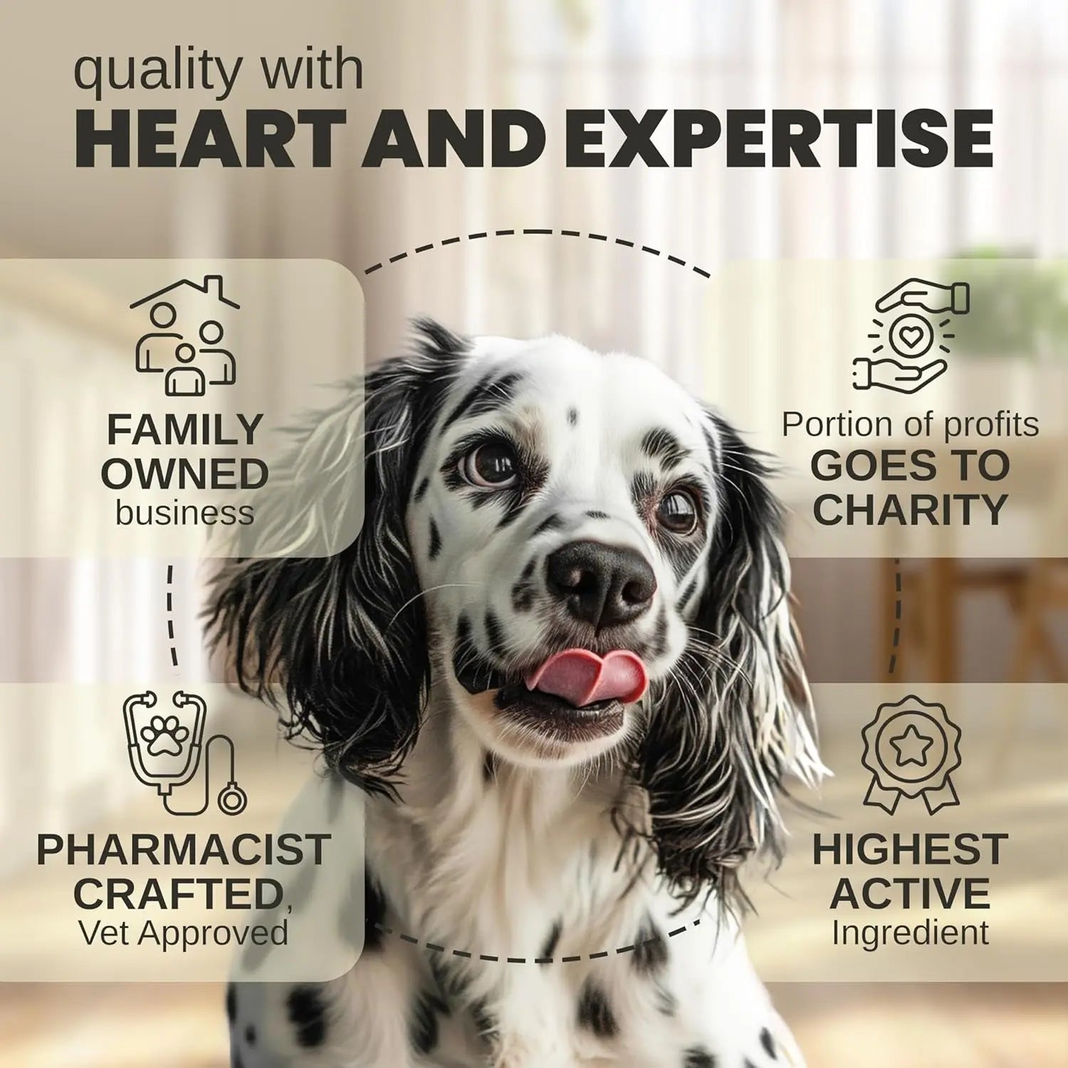 Pet hemp oil drops quality infographic with dog portrait and badge icons