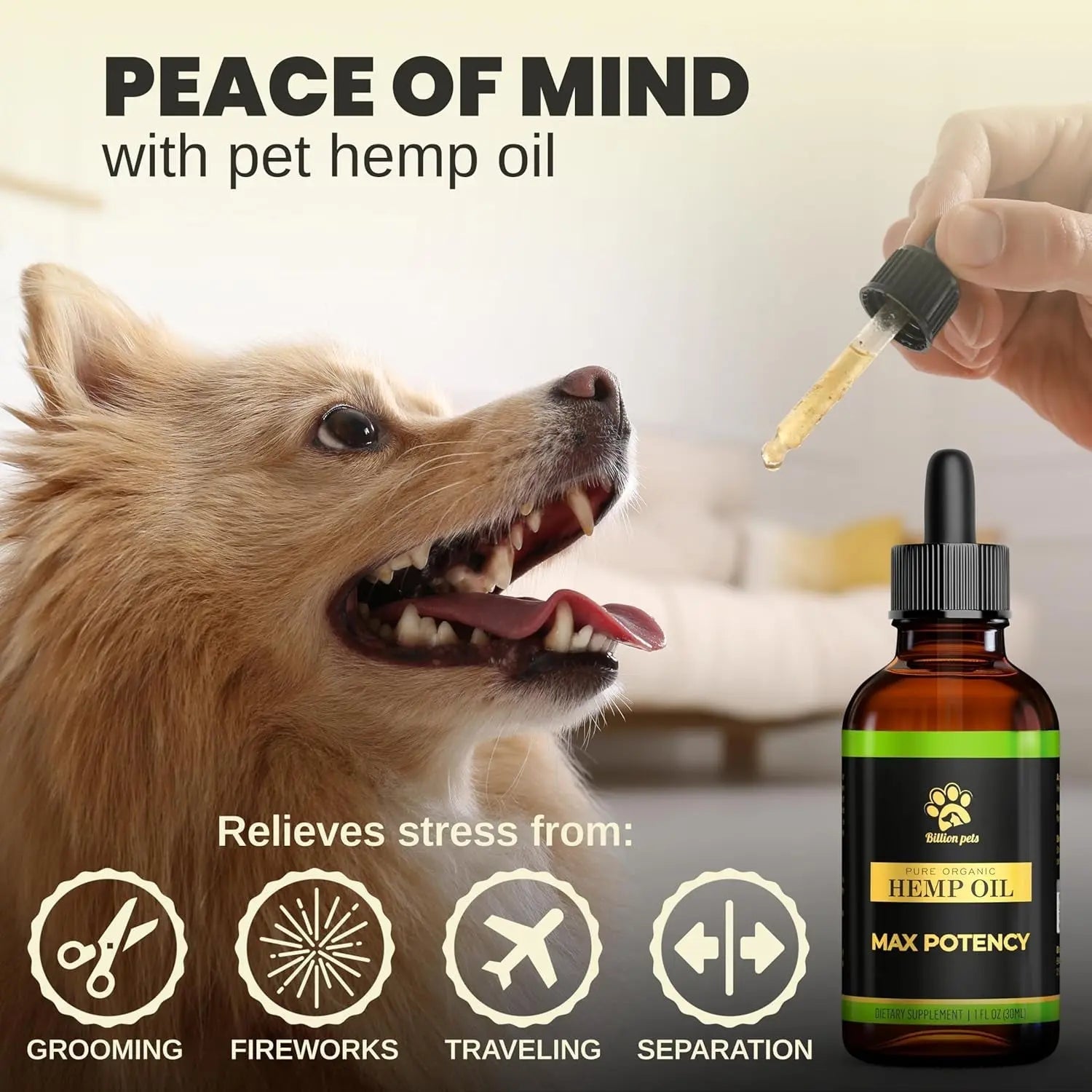 Pet hemp oil bottle and dropper held above a dog’s mouth
