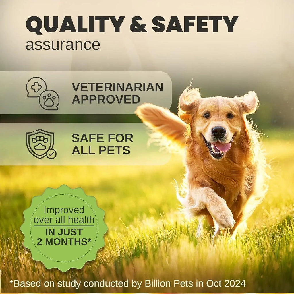 Pet hemp oil quality and safety infographic with running dog and approval badges