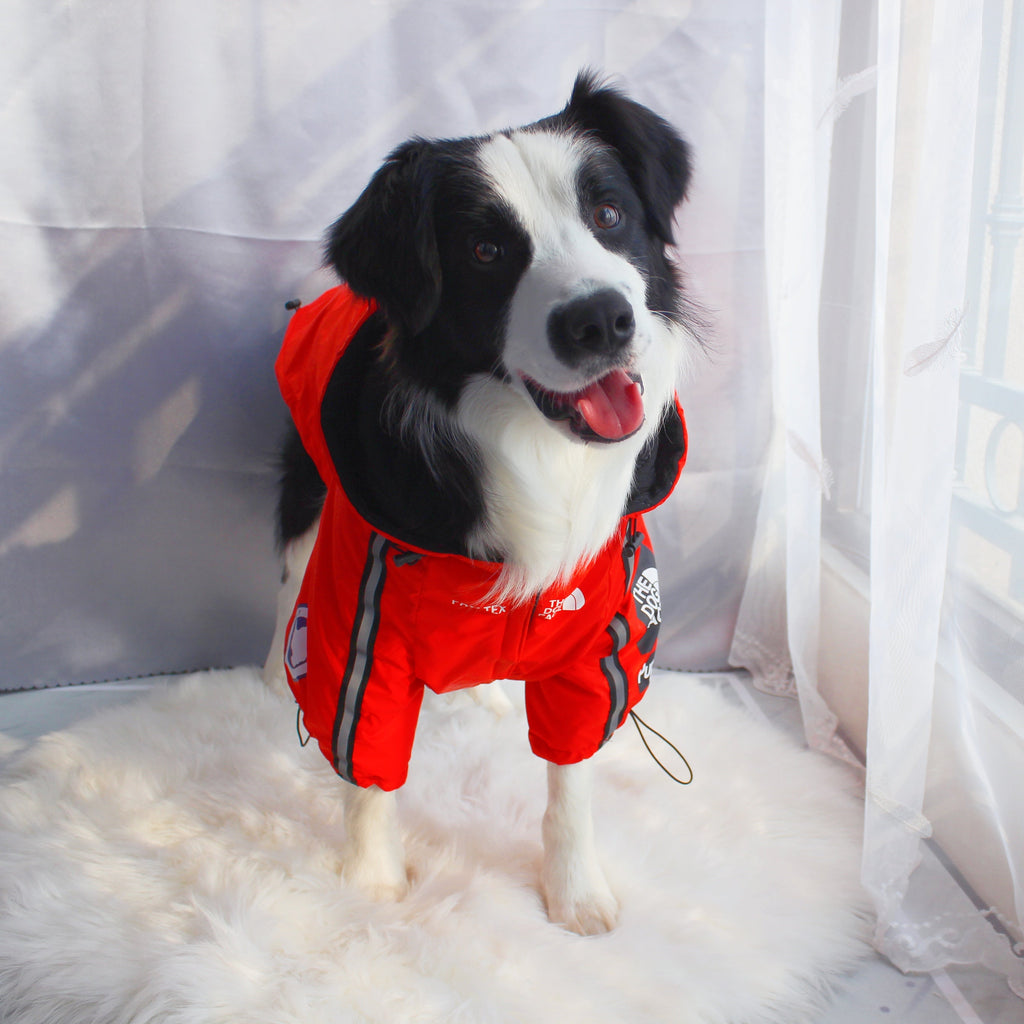 Windproof Waterproof Reflective Dog Rain Jacket — Hooded, Lightweight, Sizes S–5XL