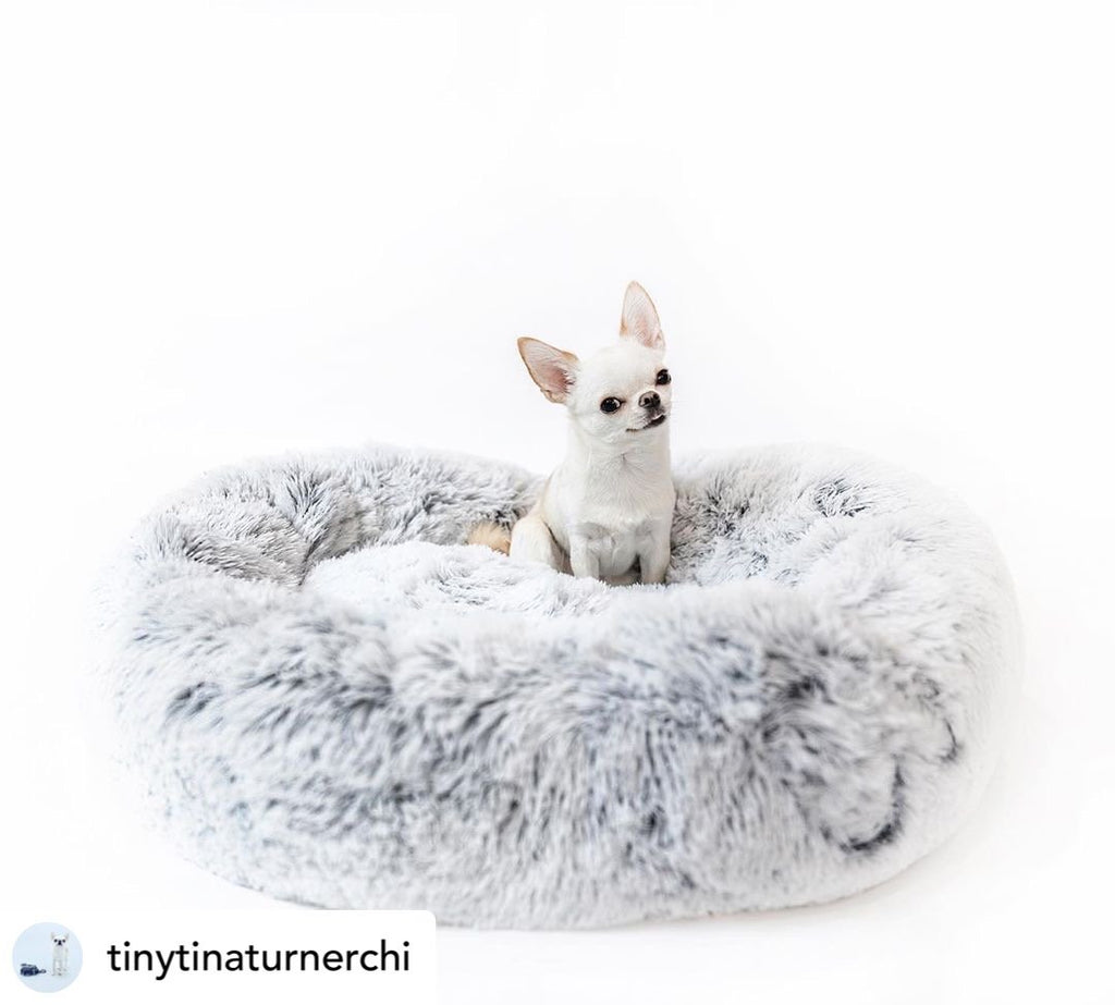 Light gray shag round pet bed with deep nest center, dog sitting inside