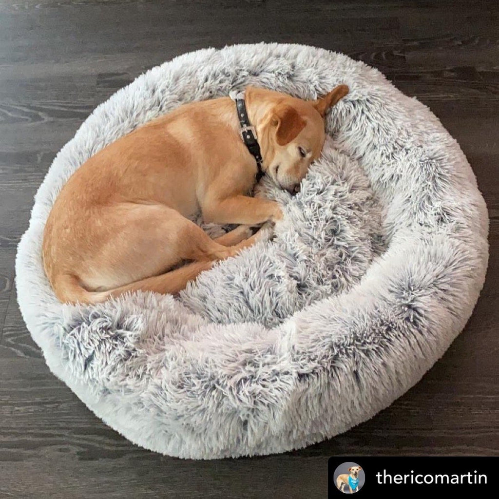 Round two-tone plush pet bed with light gray shag fabric and cushioned inner nest