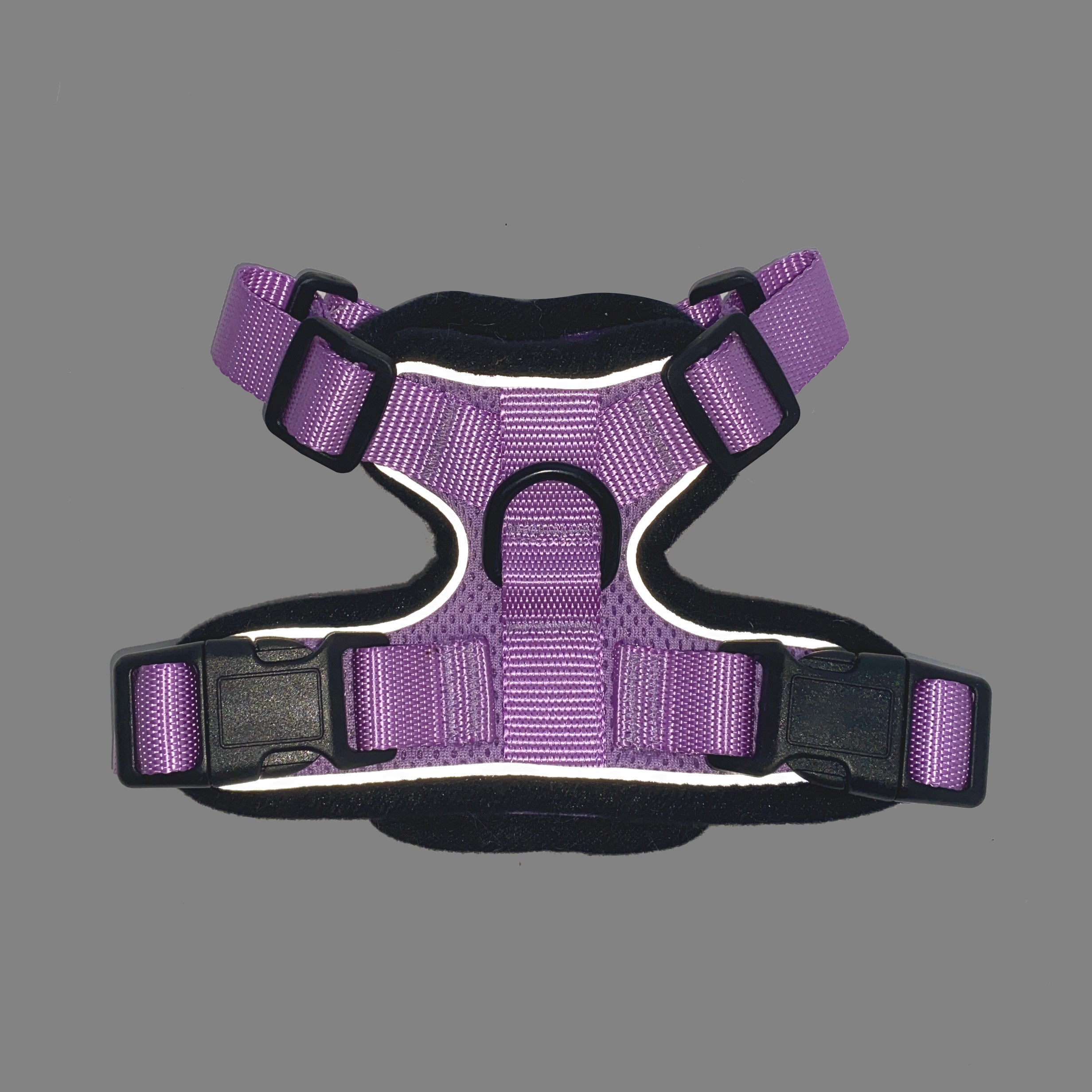 Lilac cat harness with adjustable buckles, matching leash attachment points