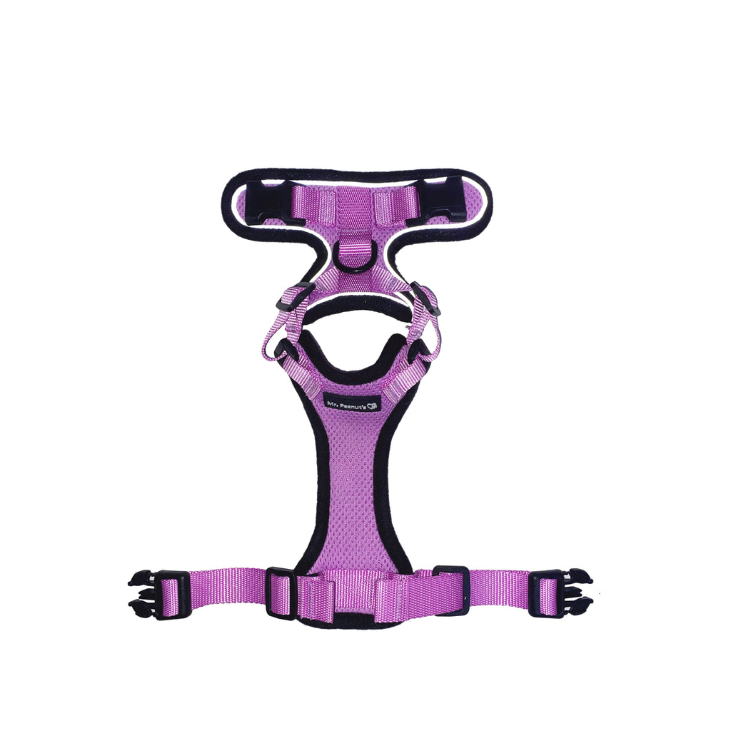 Lilac cat harness, front view with adjustable straps and center loop