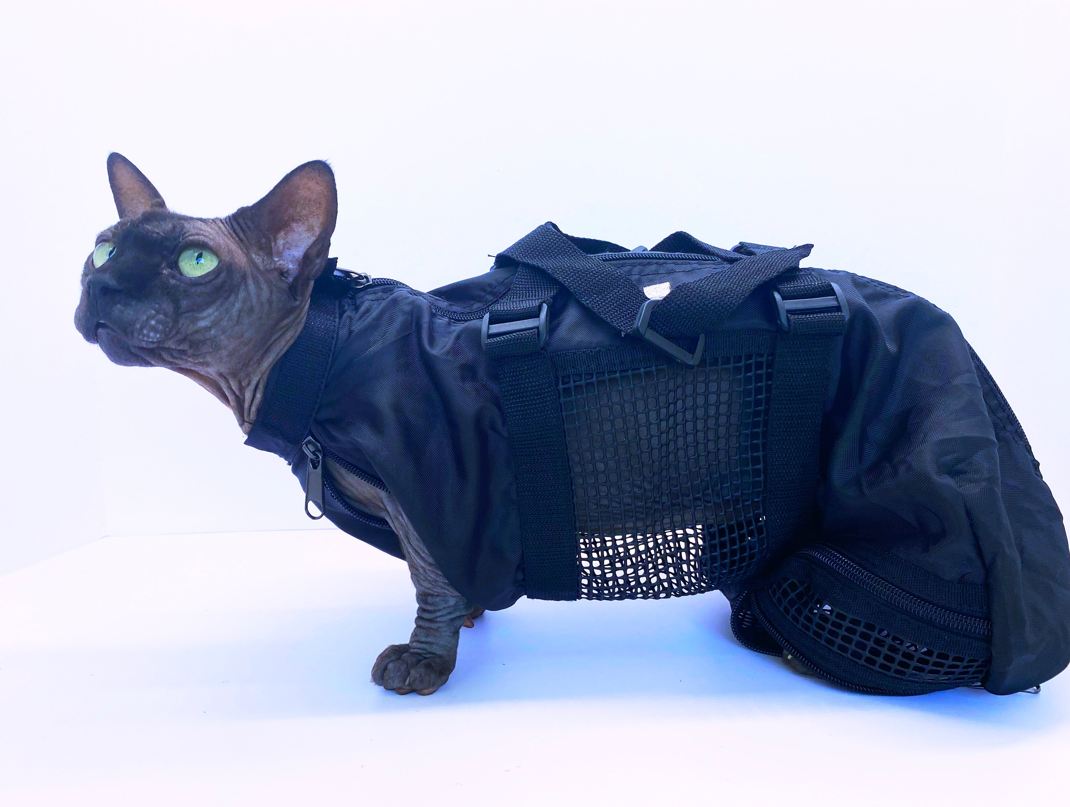 Cat and small dog grooming bag with mesh front panel and zipper pocket, navy blue