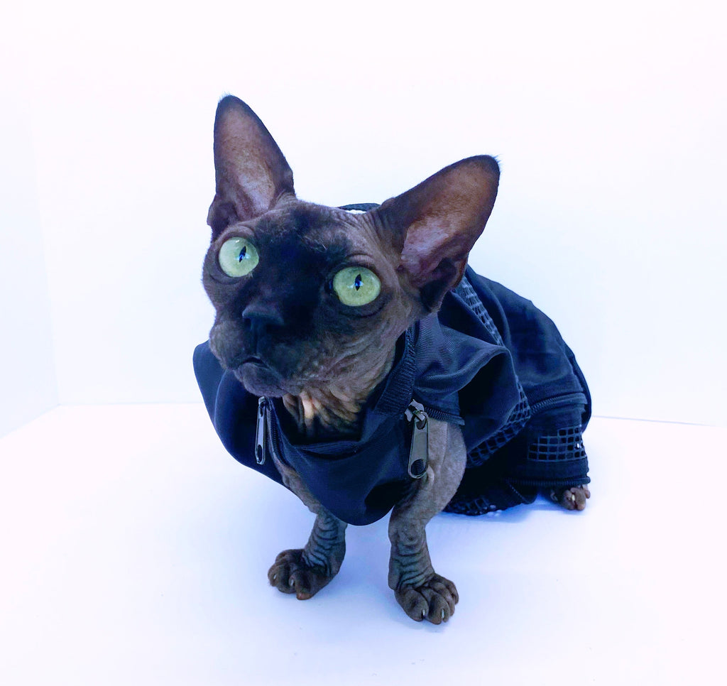 Cat and small dog grooming bag with mesh panels and straps, navy blue