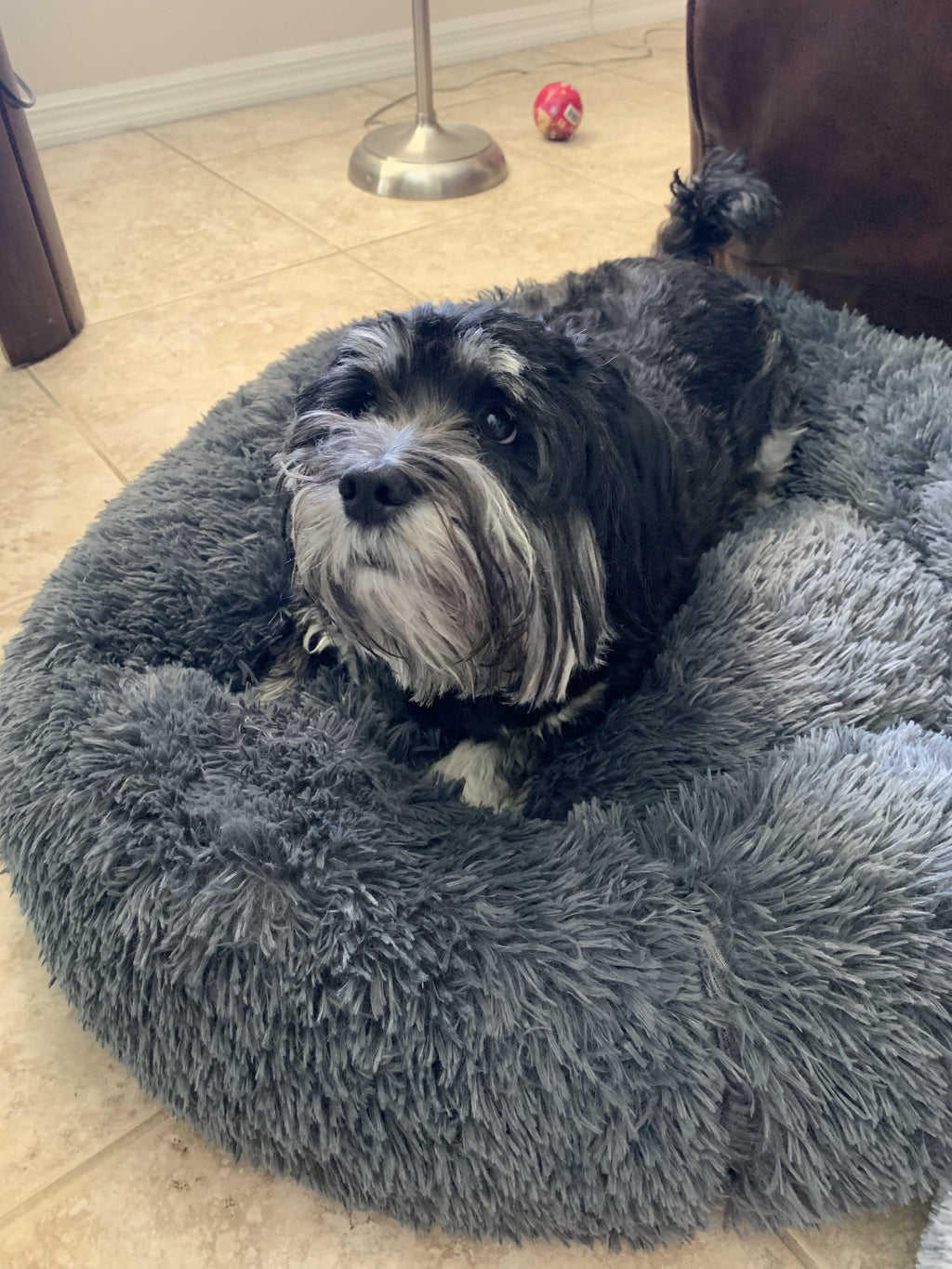 Dark gray plush pet bed with a small dog curled up inside