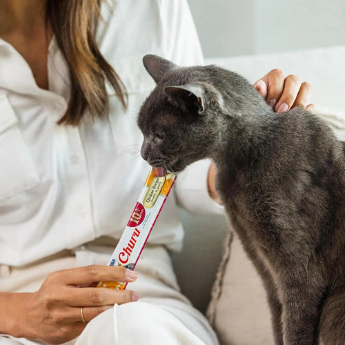 Senior cat licking a Churu treat tube held by a person