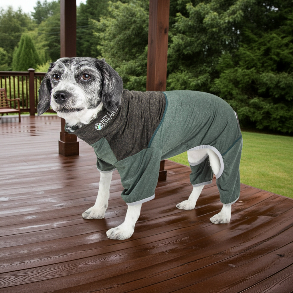 Dark green dog full body tracksuit with front zipper and enclosed belly