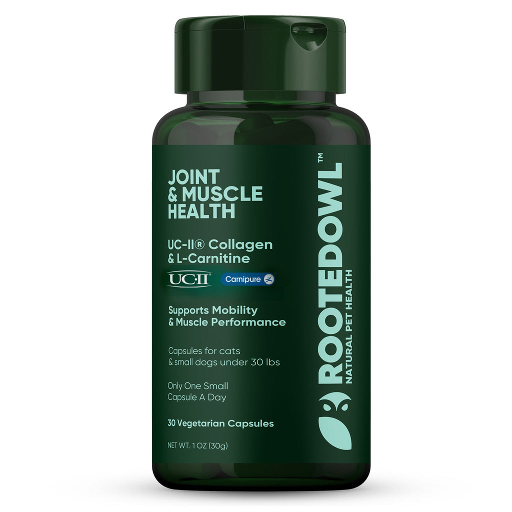 Joint & Muscle Health supplement bottle, dark green with green cap and printed label.
