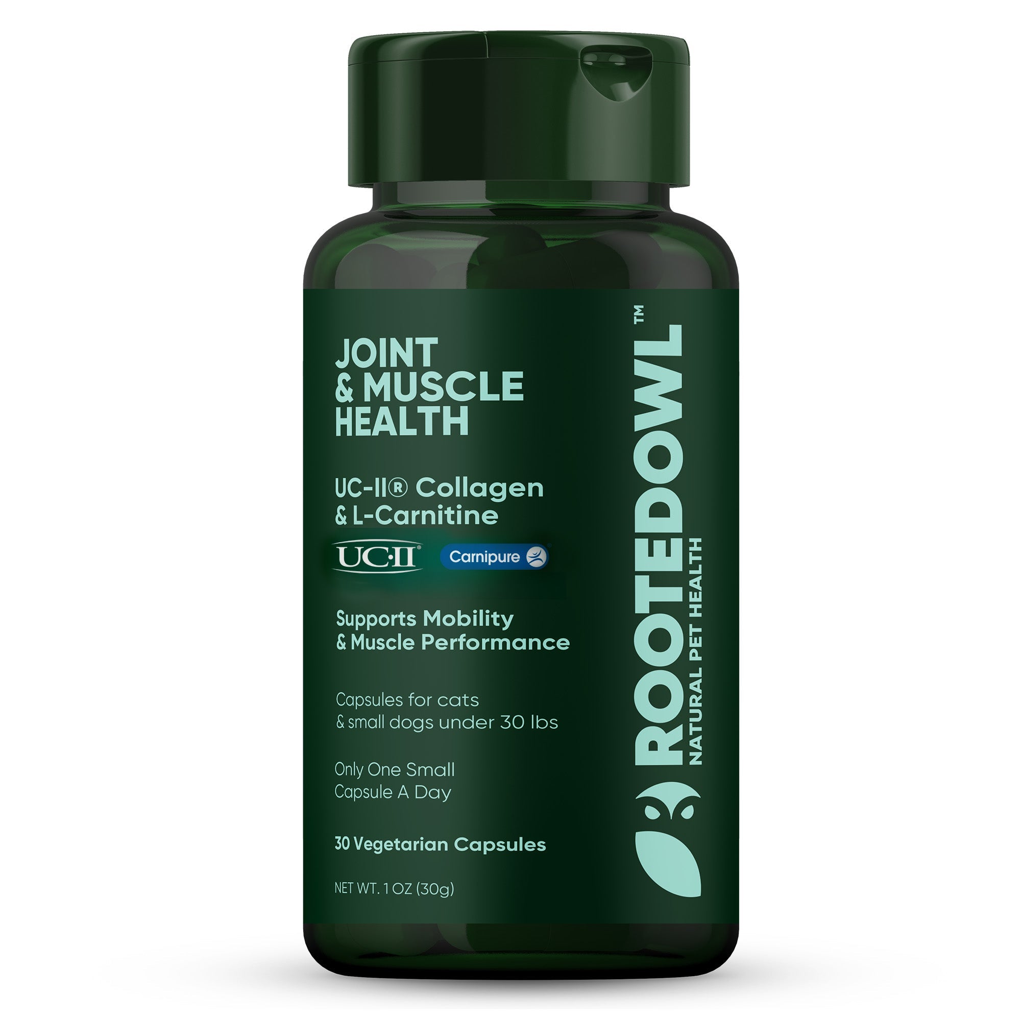 Joint & Muscle Health supplement bottle, dark green with green cap and printed label.