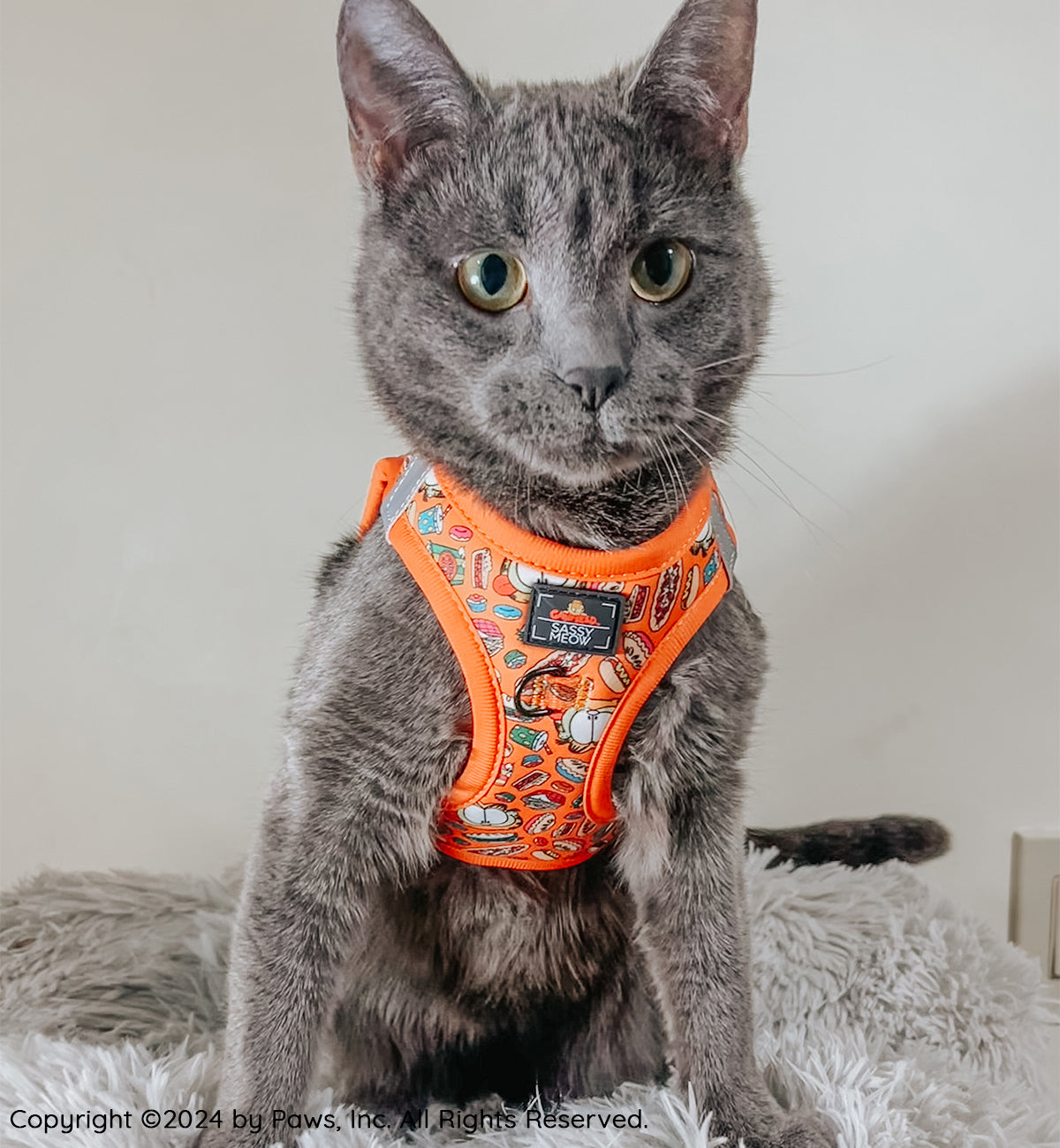Orange Garfield™️ cat step-in harness on gray cat, with character print and front patch