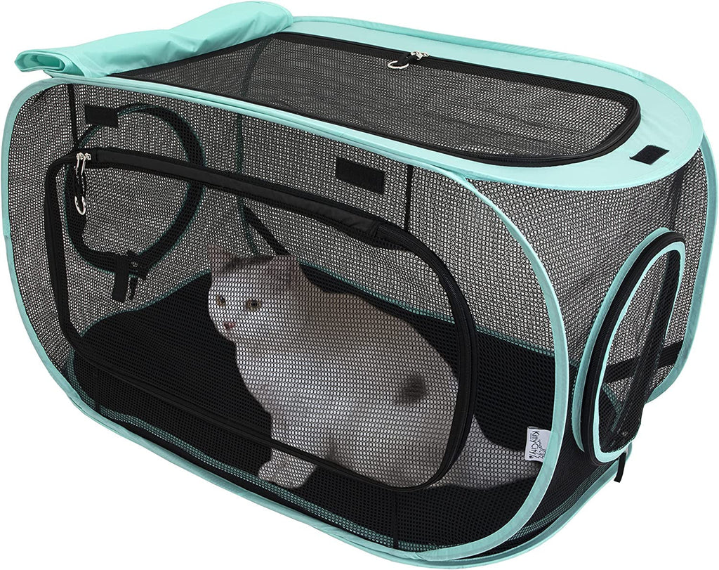 Cat tunnel and carrier unit with teal trim, black mesh sides, zip front