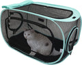 Cat tunnel and carrier unit with teal trim, black mesh sides, zip front