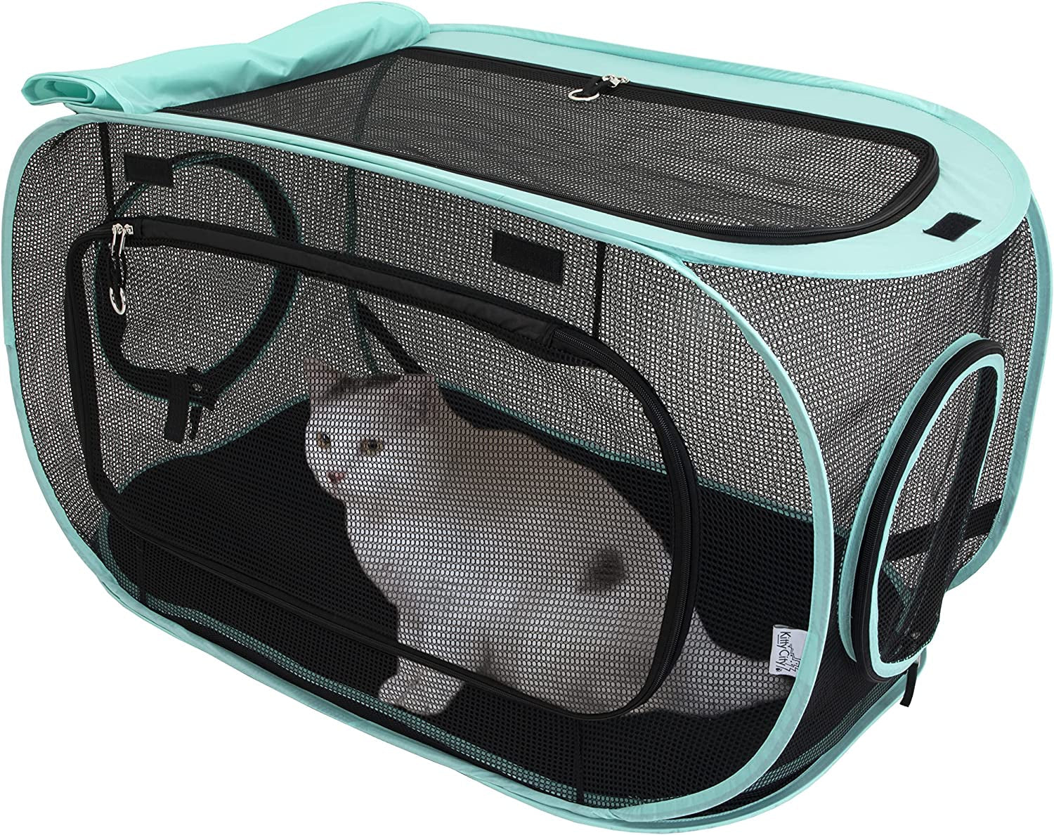 Cat tunnel and carrier unit with teal trim, black mesh sides, zip front