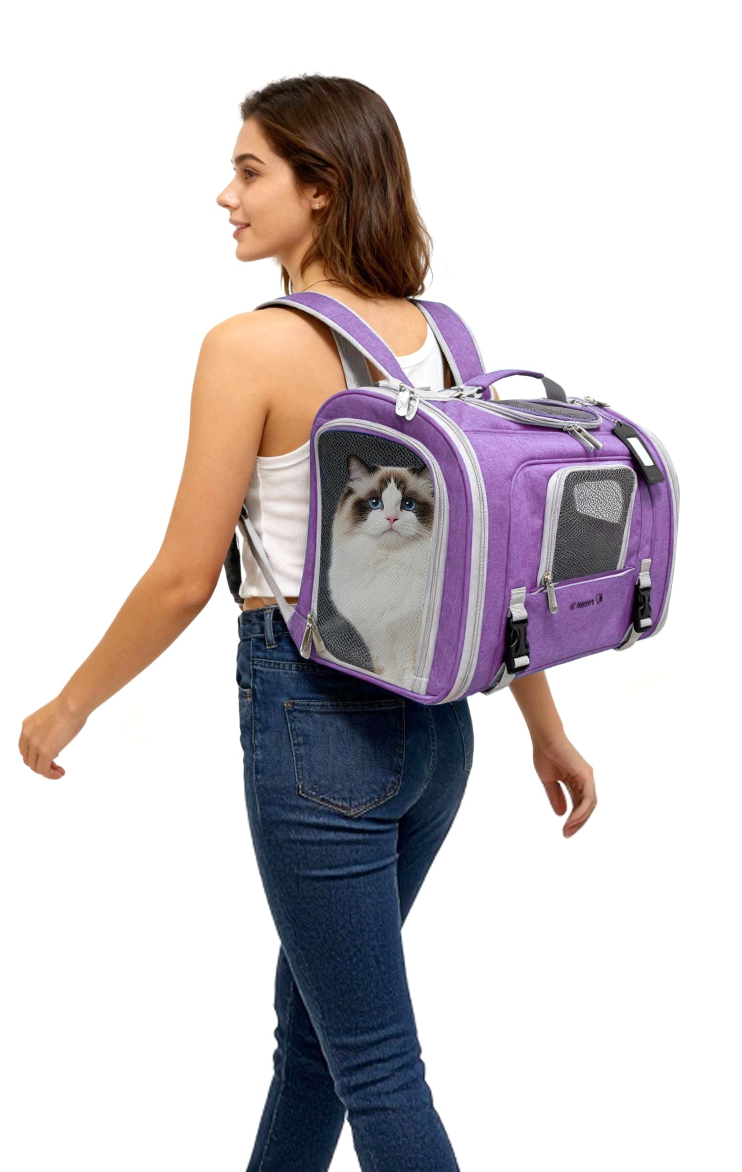 Purple pet carrier backpack worn by person; cat inside front mesh window