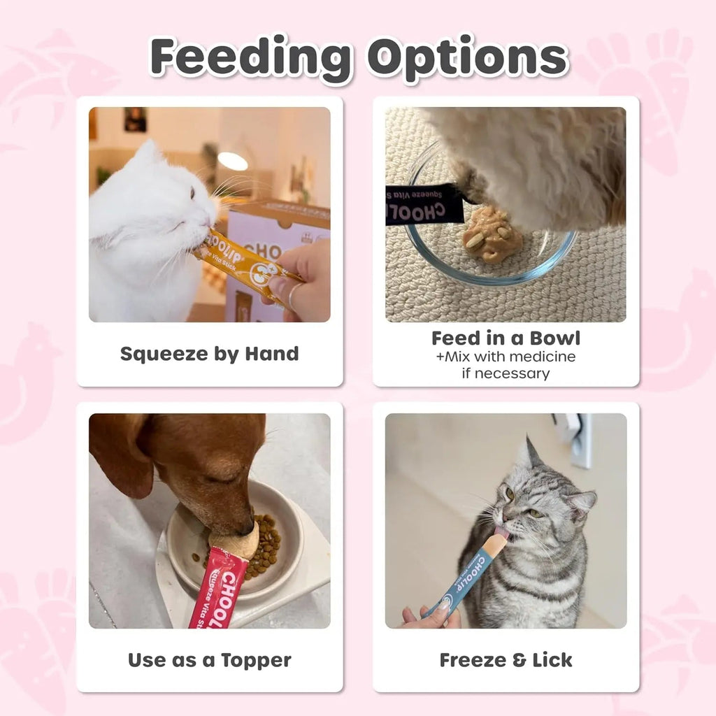 Feeding options card set showing cats and dogs using squeeze vita stick treats