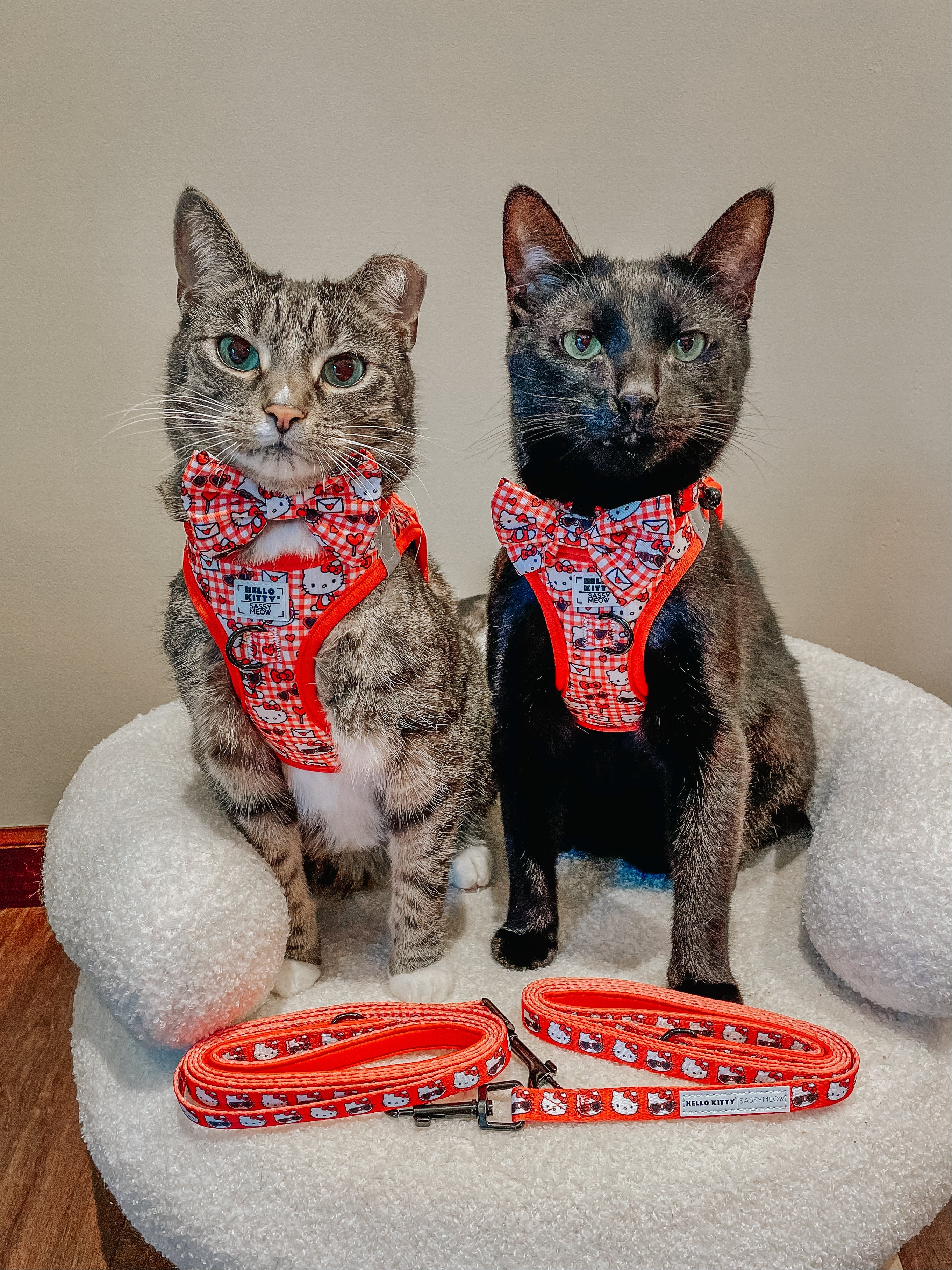 Red cat step-in harness with Hello Kitty print and bow, shown with two folded straps