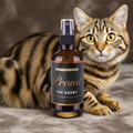 PROUD Signature Scent