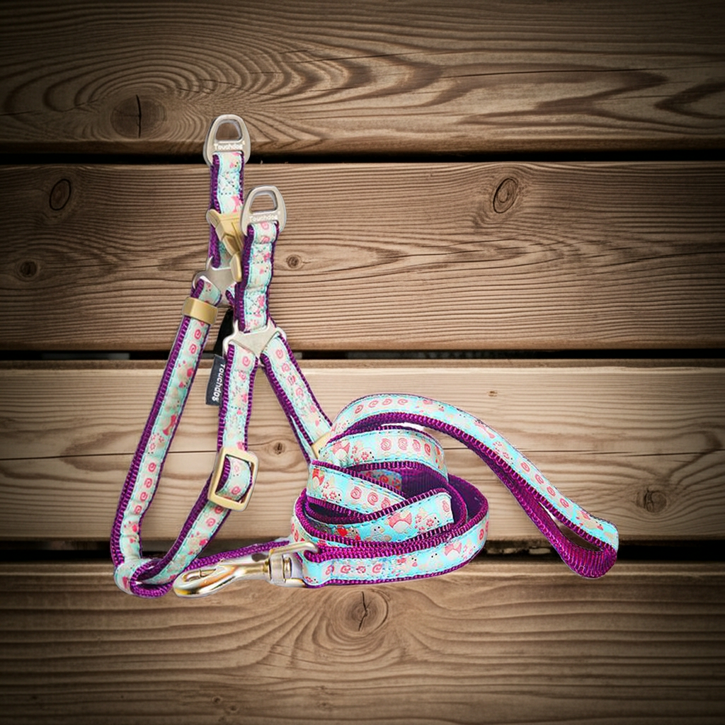 Patterned dog harness and leash set with blue fabric, purple trim, and metal leash clip