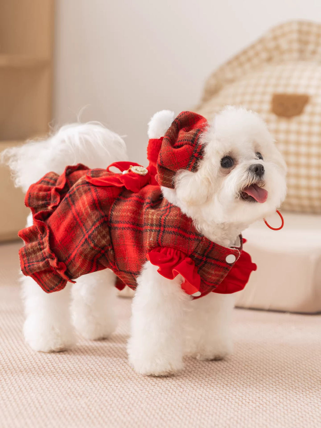 Red Plaid Dog Dress with Hat