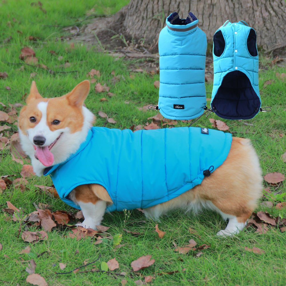 Blue reflective dog puffer vest on corgi, padded sleeveless winter jacket