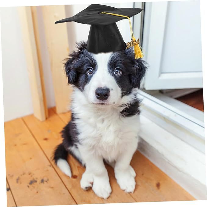 Pet Graduation Cap with Tassel – Adjustable Dog Graduation Hat for Graduation Photos & Celebration