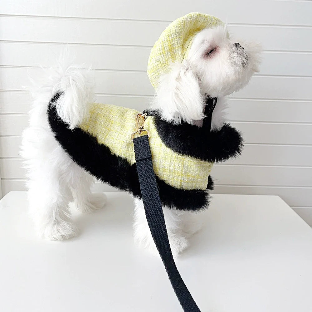 Yellow Tweed Dog Cape & Leash Set — Faux Fur Trim, Gold Hardware, XS–XXL