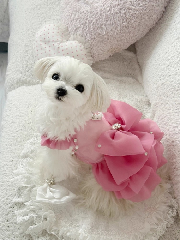 Pearl Diamond Pet Crown Headband