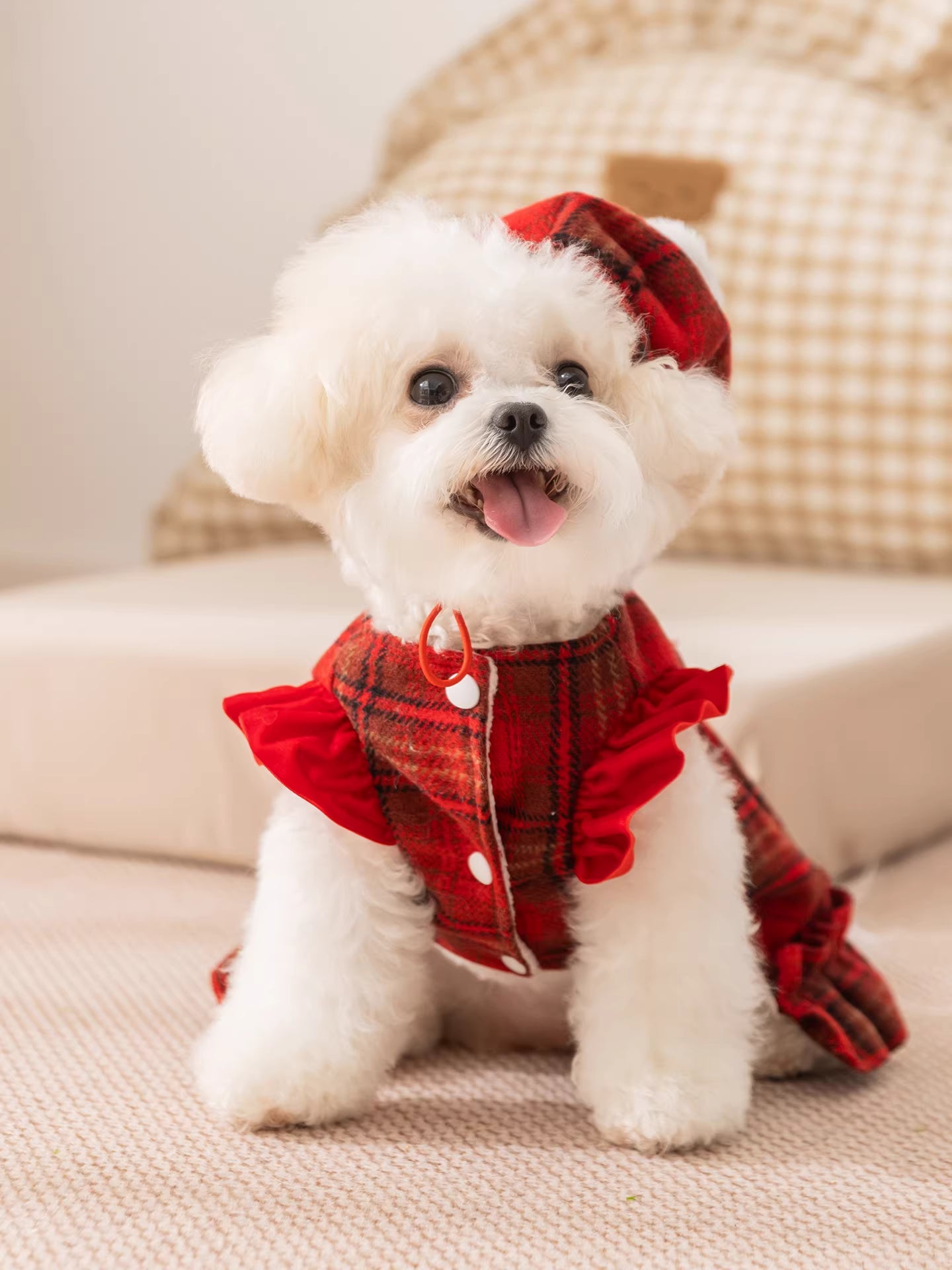 Red Plaid Dog Dress with Hat
